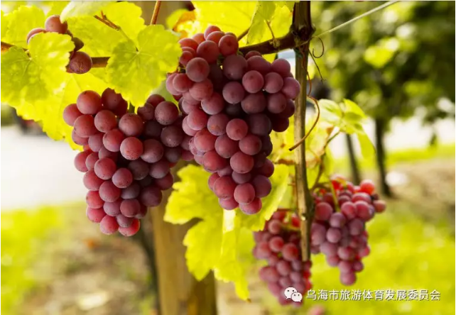 微信截图_20180928085350.png