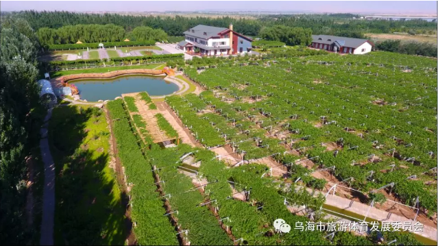 微信截图_20180928085419.png