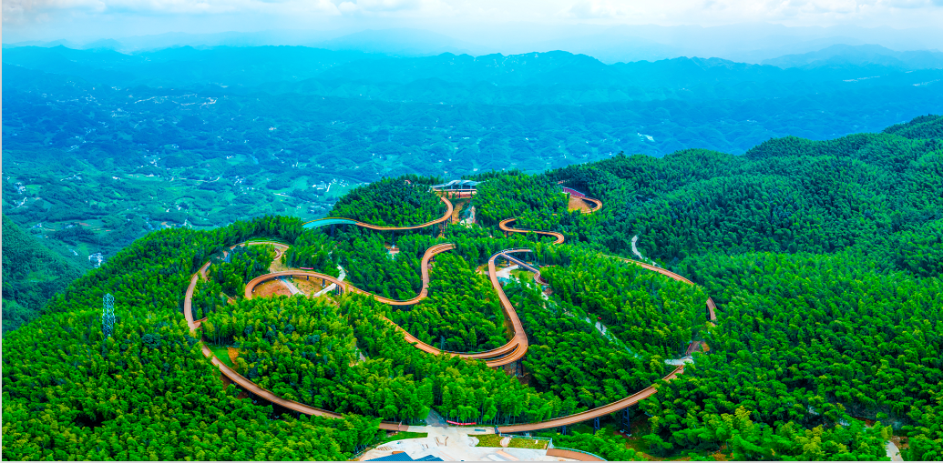 蜀南竹海风景名胜区图片